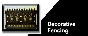 Scroll Image1